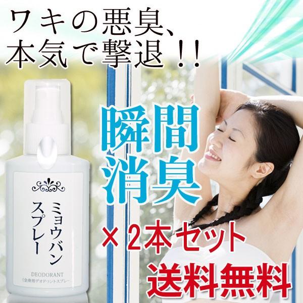 ミョウバンスプレー100ml ×2本セット 約6か月分 ミョウバン スプレー