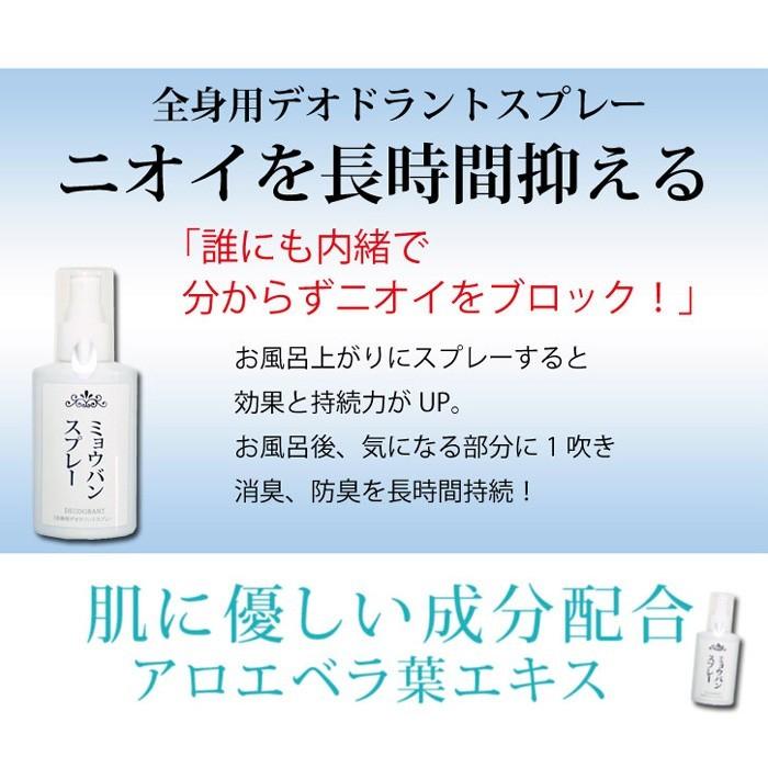 ミョウバンスプレー100ml ×2本セット 約6か月分 ミョウバン スプレー