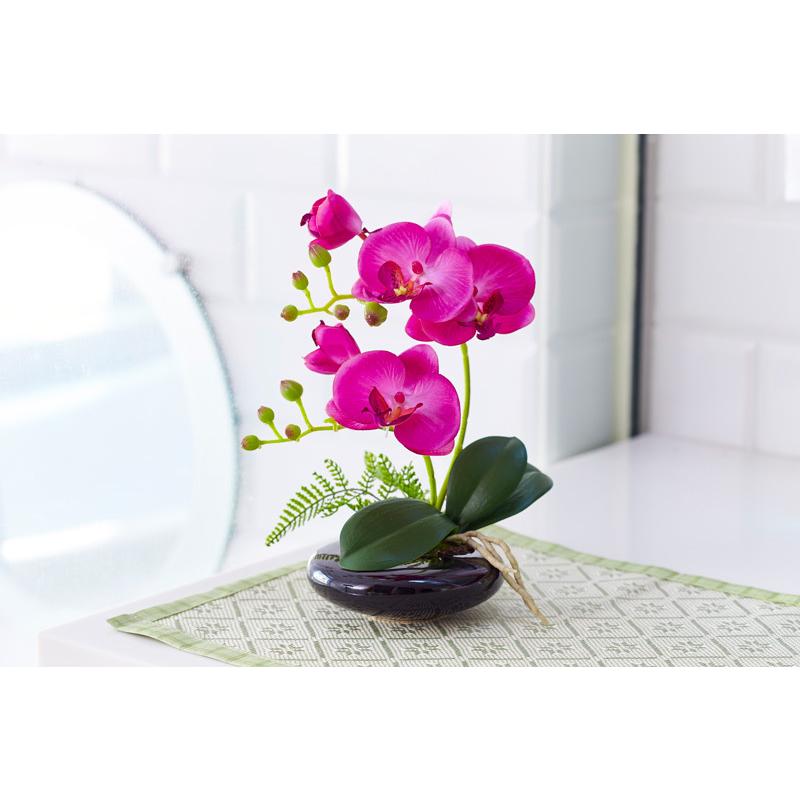 光触媒 卓上型胡蝶蘭 奏（かなで）光触媒 胡蝶蘭 造花 花 光触媒溶液