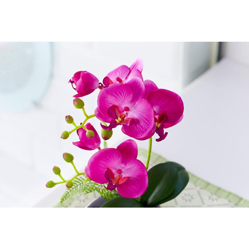 光触媒 卓上型胡蝶蘭 奏（かなで）光触媒 胡蝶蘭 造花 花 光触媒溶液