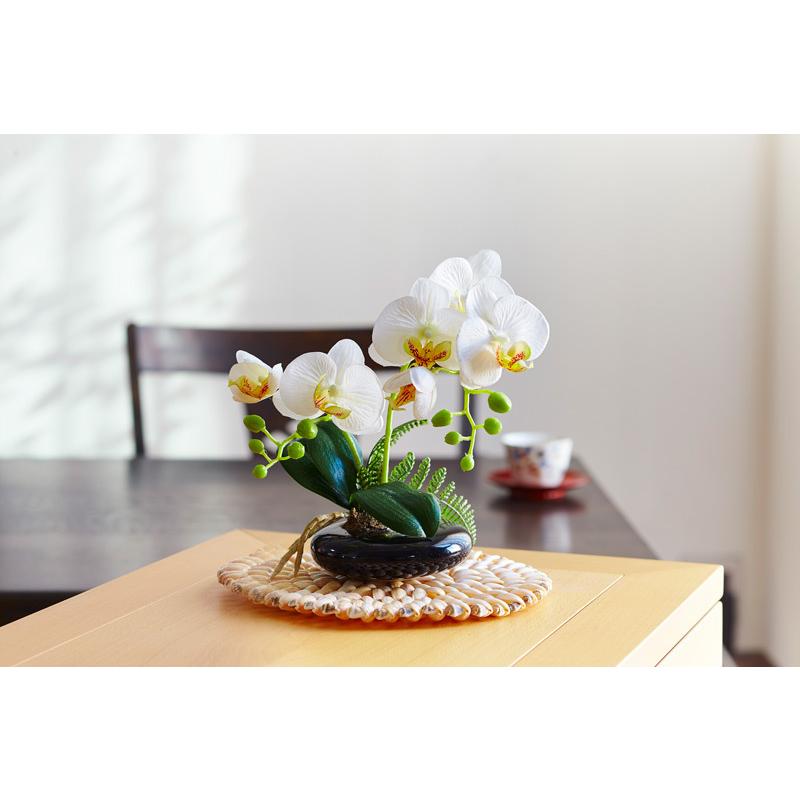 光触媒 卓上型胡蝶蘭 奏（かなで）光触媒 胡蝶蘭 造花 花 光触媒溶液