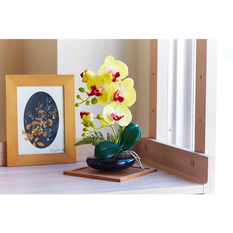 光触媒 卓上型胡蝶蘭 奏（かなで）光触媒 胡蝶蘭 造花 花 光触媒溶液