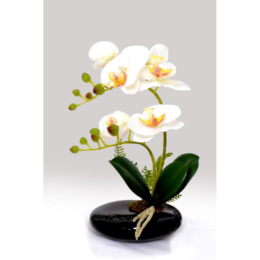 光触媒 卓上型胡蝶蘭 奏（かなで）光触媒 胡蝶蘭 造花 花 光触媒溶液