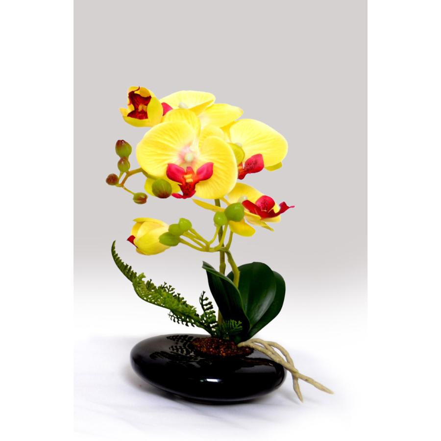 光触媒 卓上型胡蝶蘭 奏（かなで）光触媒 胡蝶蘭 造花 花 光触媒溶液