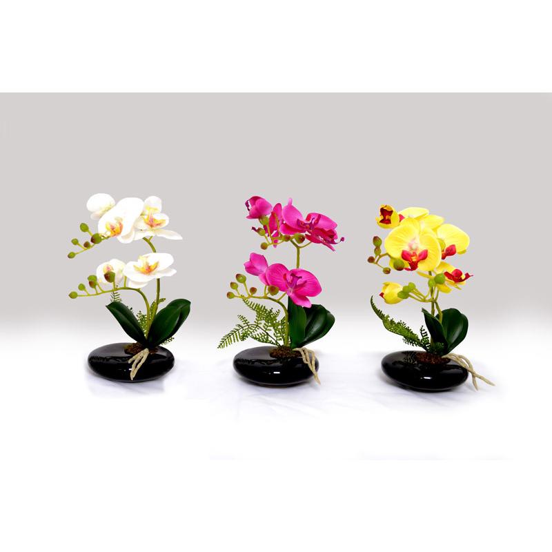 光触媒 卓上型胡蝶蘭 奏（かなで）光触媒 胡蝶蘭 造花 花 光触媒溶液