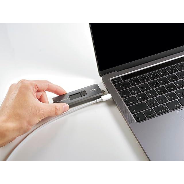 I-O DATA（アイ・オー・データ機器） IODATA SSPE-USC1B USB-A&USB-C