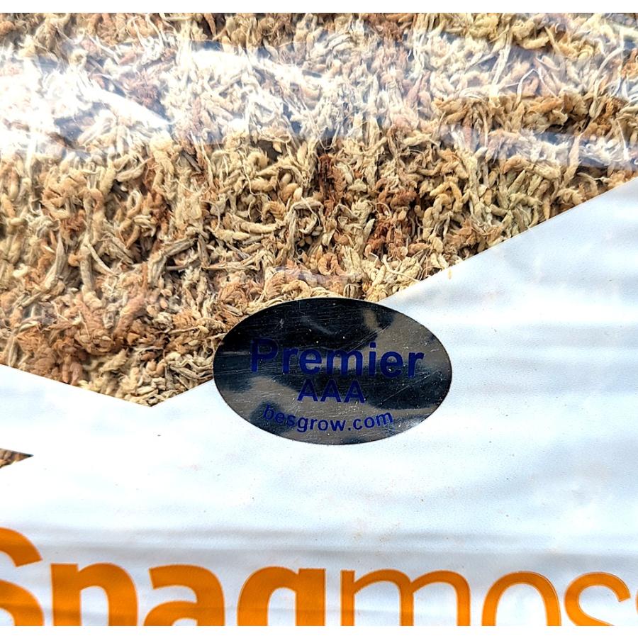 水苔　ニュージーランド産　AAA 1kg ニュージーランド産水苔AAA1kg - メルカリ