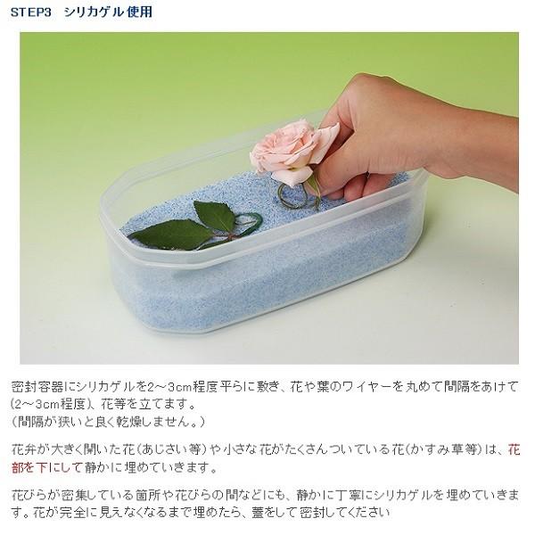ドライフラワー用 乾燥剤 シリカゲル 1kg 3袋セット 細粒タイプ 3 Pegマーケット 通販 Yahoo ショッピング