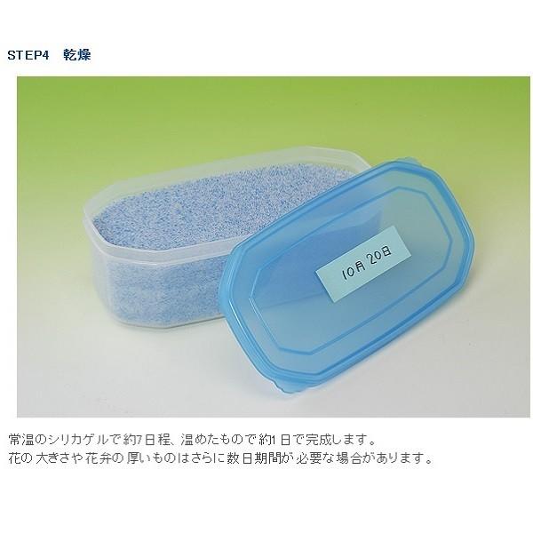 ドライフラワー用 乾燥剤 シリカゲル 1kg 3袋セット 細粒タイプ 3 Pegマーケット 通販 Yahoo ショッピング