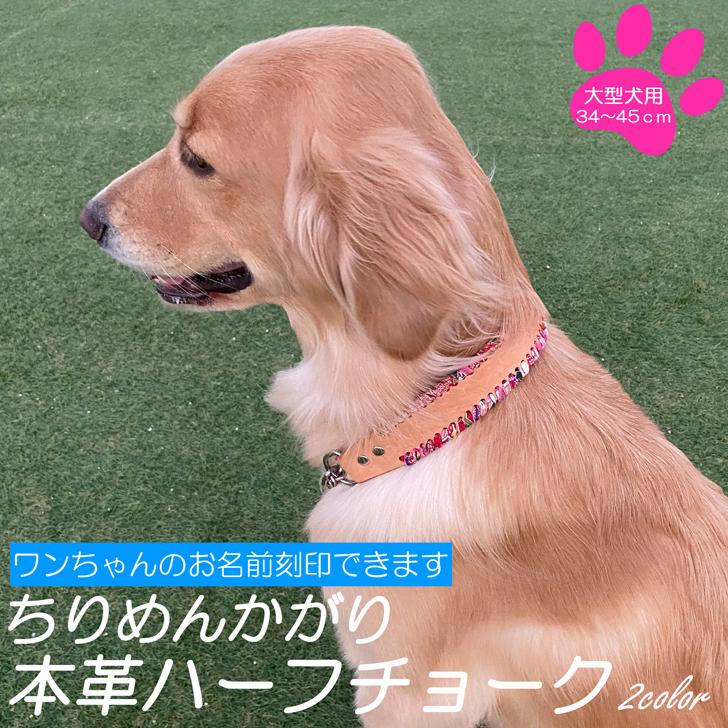 犬 首輪 大型犬 ハーフチョーク 名入れ レザー 本革 【ちりめんかがり