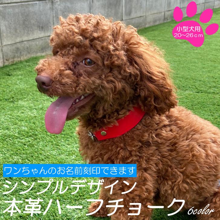 犬 首輪 小型犬 ハーフチョーク 名入れ レザー 本革 シンプルデザイン 犬の首輪 いぬ くびわ 名前刻印 しつけ トレーニング 訓練 おしゃれ かわいい 散歩 Small Normal Pegs 犬おやつと革首輪工房 通販 Yahoo ショッピング