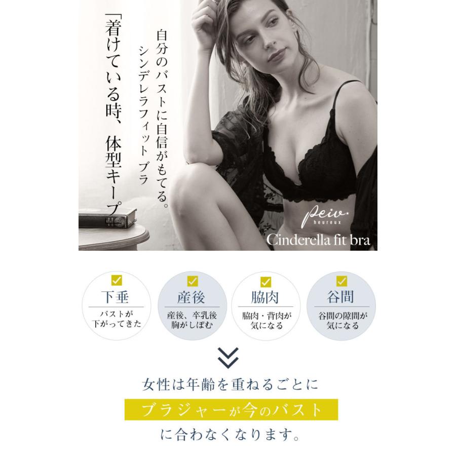 80 85アンダー専用 A80 F85 シンデレラフィット 育乳ブラ 単品 ブラジャー バストアップ 脇高 脇肉 ブラ 大きいサイズ 補正 初回交換0円 Peiv 1423b Peiv 通販 Yahoo ショッピング