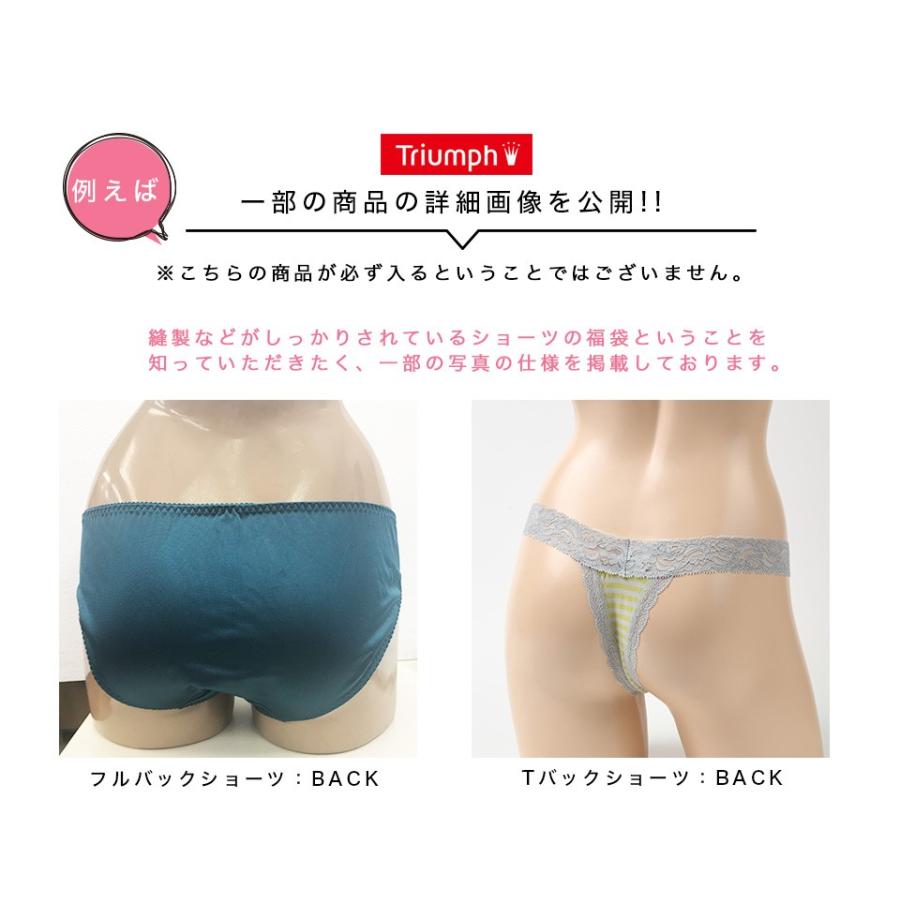 ショーツ Tバック レディース 福袋 セット 選べる トリンプ ショーツ3枚入 おまかせ福袋 Triumph フルバックor Tバック 下着福袋 Happybag Peiv 18 09 2604 162 Peiv 通販 Yahoo ショッピング