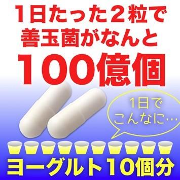 生きたまま腸に届く『ビフィズス菌＋乳酸菌』｜pejapan｜02