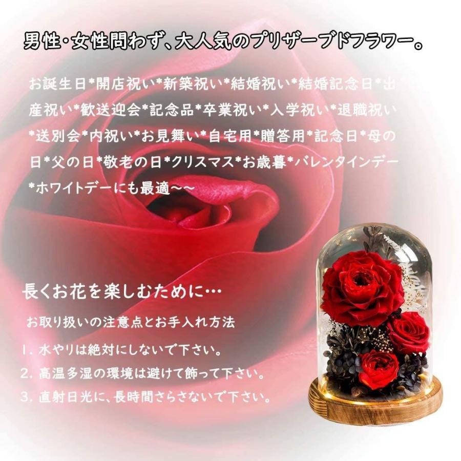 超人気 プリザーブドフラワー プレゼント ガラスドーム 薔薇 ドライフラワー バラー 枯れない花 フラワーギフト ギフトボックス 手提げ袋 メッセー 公式の Www Bitcoinbro Frankhawley Com