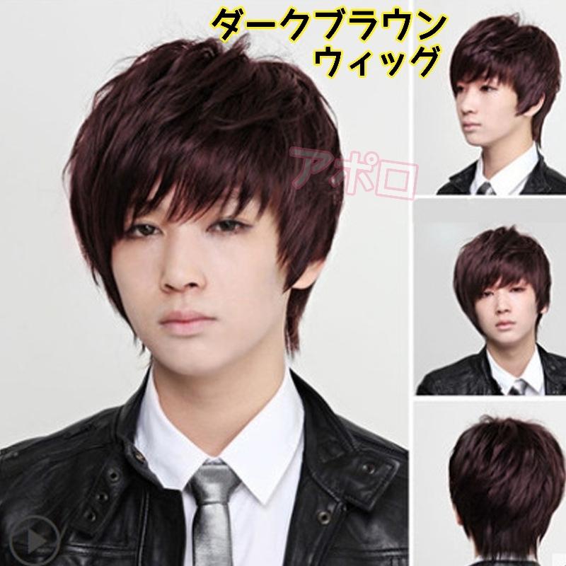ダークブラウン ショートウィッグ メンズ ダークブラウン 男性 ウィッグ ショート 焦げ茶色 No.742