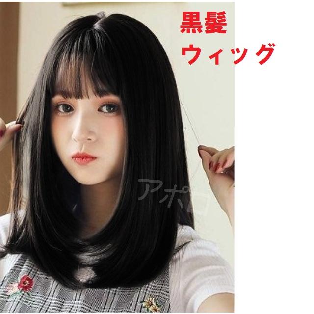 黒髪 セミロング ウィッグ 黒 ブラック かつら No.823 : 価格 黒髪 セミロング ウィッグ 黒 ブラック かつら No.823 : 価格