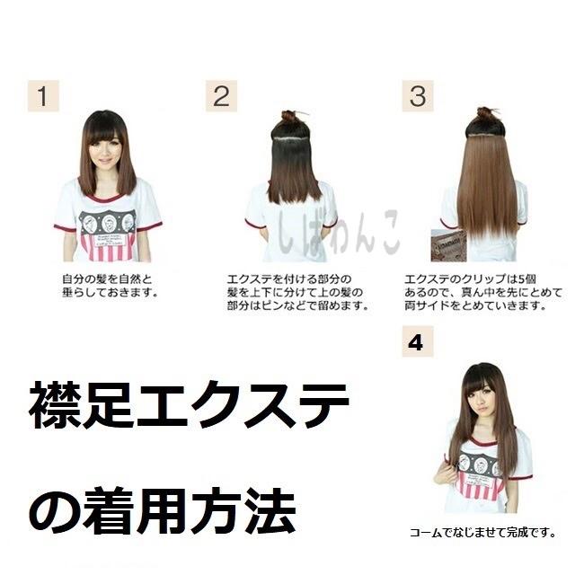 えりあしエクステ かつら ダークブラウン ナチュラル ウィッグ No.853