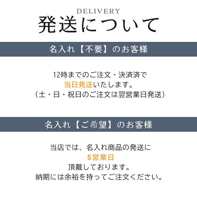 公式【選べるリボンカラー】Orobianco オロビアンコ ORT251A タイピン ネクタイピン タイバー メンズ アクセサリー シルバー ギフト 名入れ無料 お祝い ネーム｜pellepenna｜06