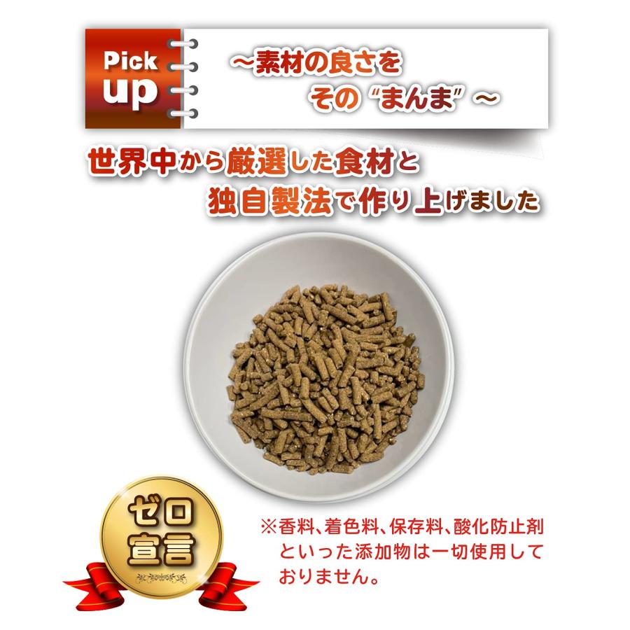 ぺろまんま ドッグフード 全犬種 オールステージ用 無添加 ドライフード 国産 新鮮 子犬 シニア 5kg PeLo |  | 01