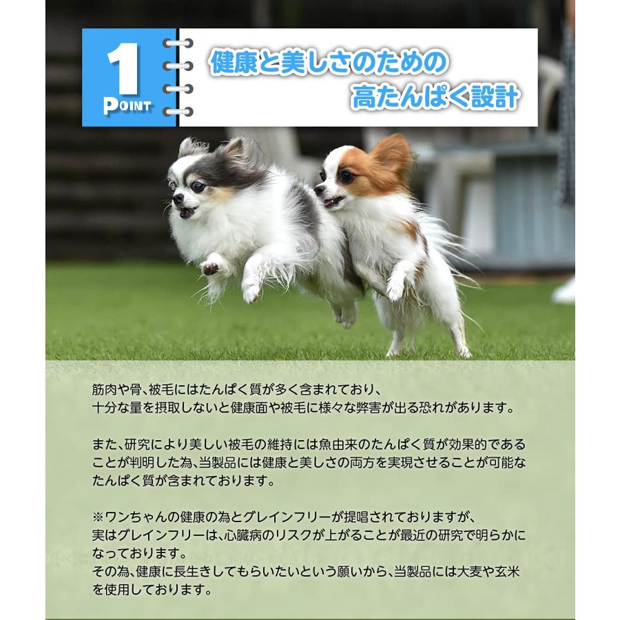 ぺろまんま ドッグフード 全犬種 オールステージ用 無添加 ドライフード 国産 新鮮 子犬 シニア 5kg PeLo |  | 02