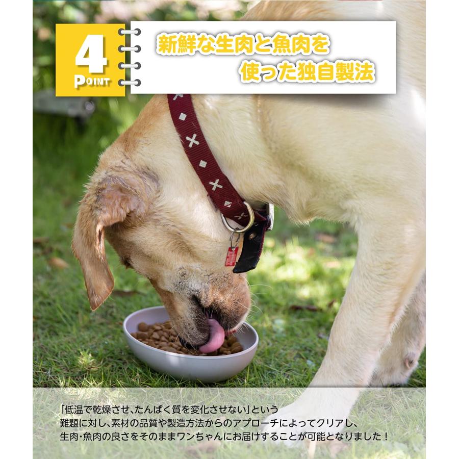ぺろまんま ドッグフード 全犬種 オールステージ用 無添加 ドライフード 国産 新鮮 子犬 シニア 5kg PeLo |  | 05