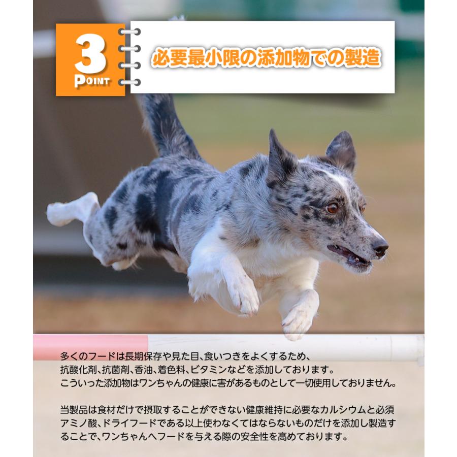 ぺろまんま ドッグフード 全犬種 オールステージ用 無添加 ドライフード 国産 新鮮 子犬 シニア 1kg PeLo｜pelo｜05