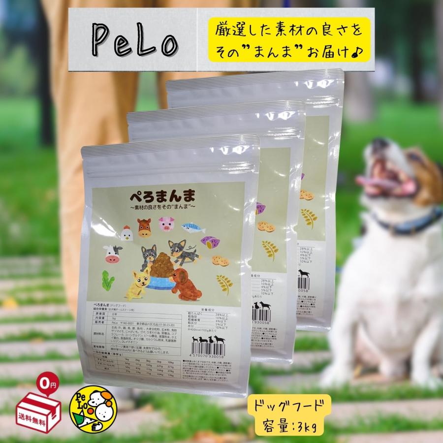 新品】犬心 JAPANESE DOGS-日本犬種用- ドライフード 1.3kg 【公式通販】