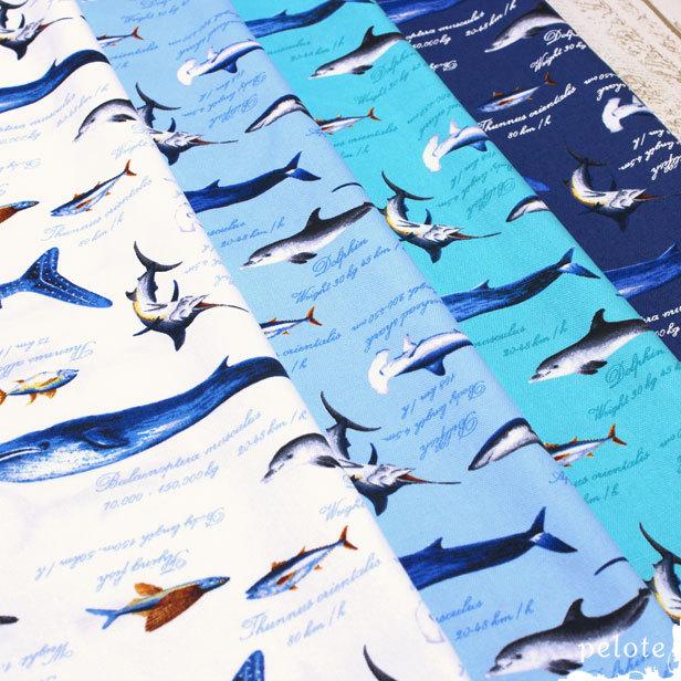 コットン 生地 かっこいい 綿オックス 海の仲間たち 入園準備 入学準備 プリント イルカ ジンベエザメ バッグ ハンドメイド 男の子 メール便2円 2mまで Ck 441 生地とレースのお店プロート 通販 Yahoo ショッピング