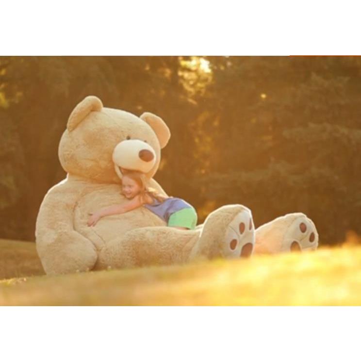 ぬいぐるみ 巨大 くま テディベア 可愛い熊 動物 大きい くまぬいぐるみ 熊縫い包み クマ抱き枕 お祝い ふわふわぬいぐるみ 340cm 画像通り Kuma0005 500 ペルチェ 通販 Yahoo ショッピング