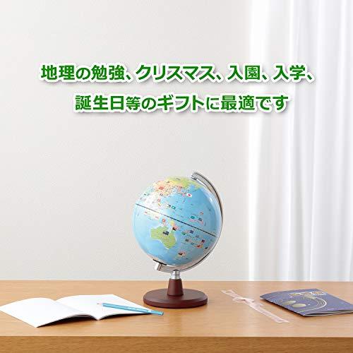 レイメイ藤井 地球儀 しゃべる国旗付 スタンダード 球径20cm OYV46｜peme｜09