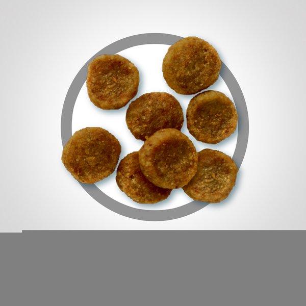 ヒルズ サイエンス・ダイエット 小型犬用 アダルト 1~6歳 成犬用 チキン 1.5kg (犬・ドッグ) |  | 06