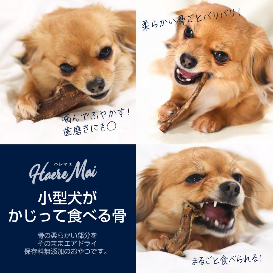 ハレマエ Haere Mai ベニソン・スカピュラ 鹿の肩甲骨 60g (犬猫兼用)[正規品] |  | 03