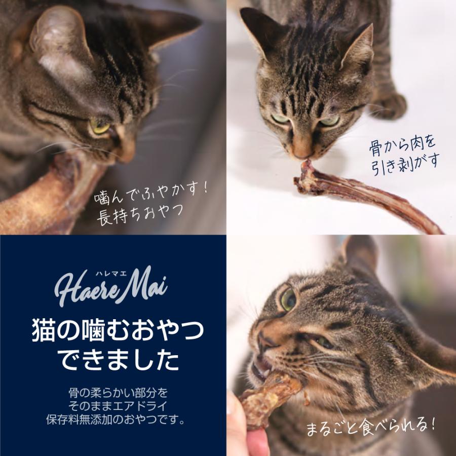 ハレマエ Haere Mai ベニソン・スカピュラ 鹿の肩甲骨 60g (犬猫兼用)[正規品] |  | 04