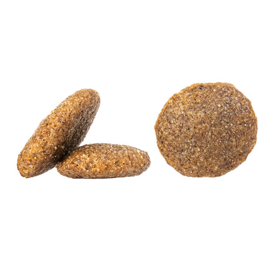 ハッピードッグ HAPPY DOG センシブル ニュージーランド 消化器ケア 中