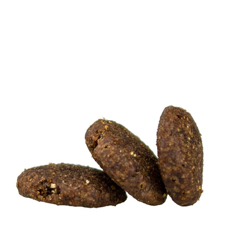 【メール便】HAPPY DOG フィット&バイタル ミディアム アダルト 中型犬 成犬用 80g(犬・ドッグ)[正規品][M便 1/5] | ハッピードッグ | 01