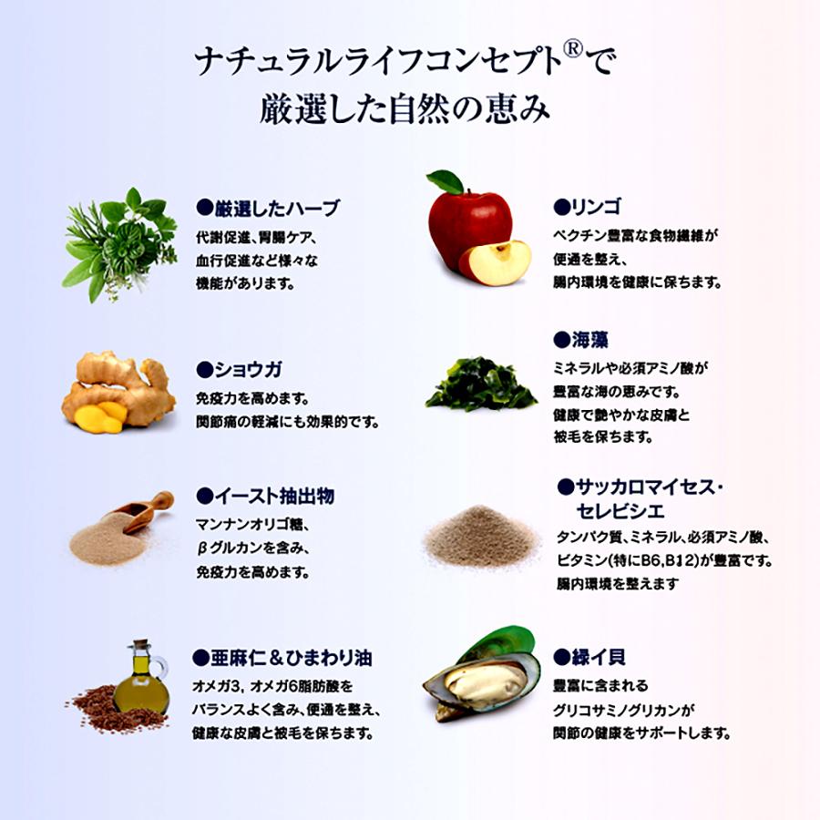 ハッピードッグ HAPPY DOG フィット&バイタル シニア 中・大型犬 高齢