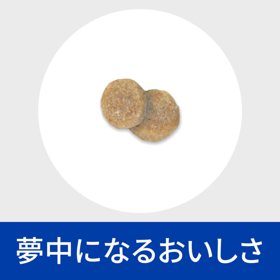 ヒルズ k/d 腎臓ケア 療法食 3kg (犬・ドッグ)[正規品] | プリスクリプション・ダイエット | 05