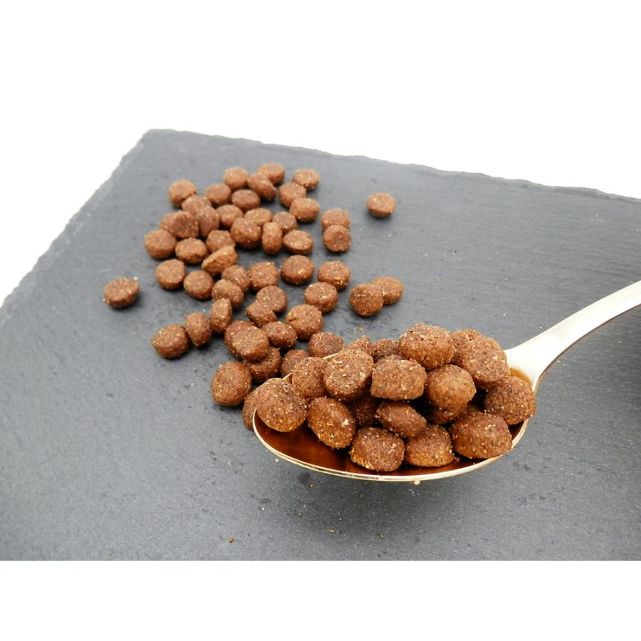 ホリスティックレセピー 成犬用 ラム＆ライス 中粒 2.4kg (犬・ドッグ) HolisticRECIPE | ホリスティックレセピー | 01