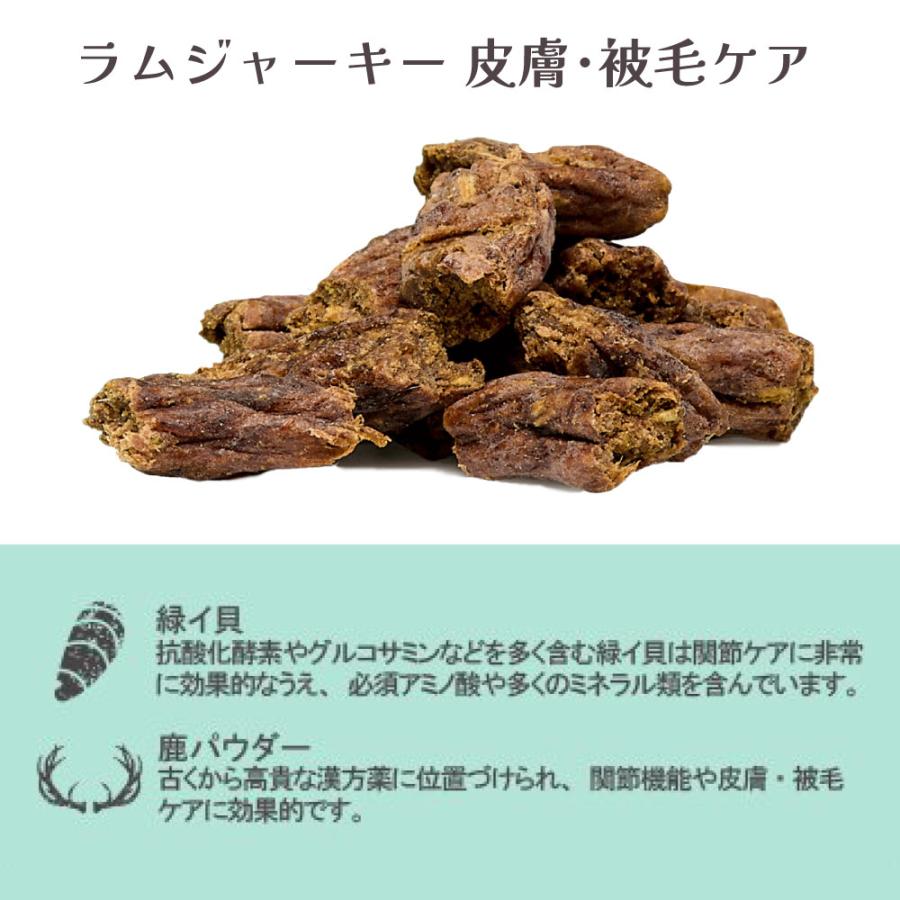 【メール便】iti イティ ドッグトリーツ ラムジャーキー 皮膚・被毛ケア 100g (犬・ドッグ)[正規品][M便 1/4] | イティ | 01