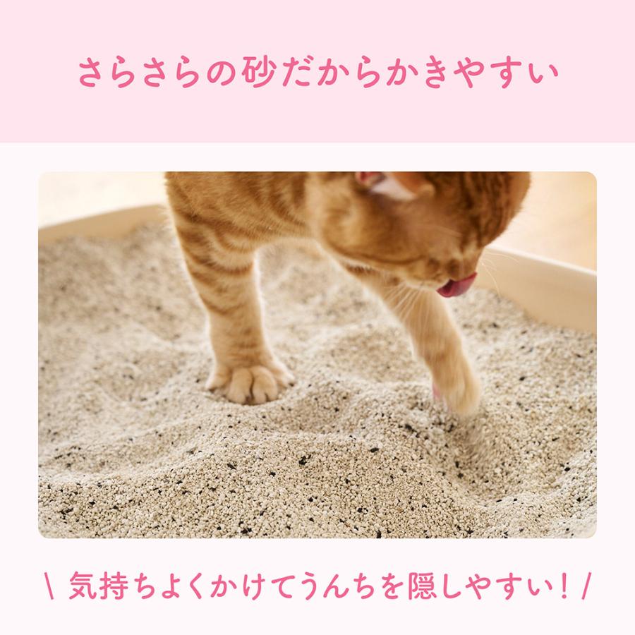 キミおもい カチッと固まる ネコ砂 5L 猫砂 (猫・キャット) | エリエール Pet | 05