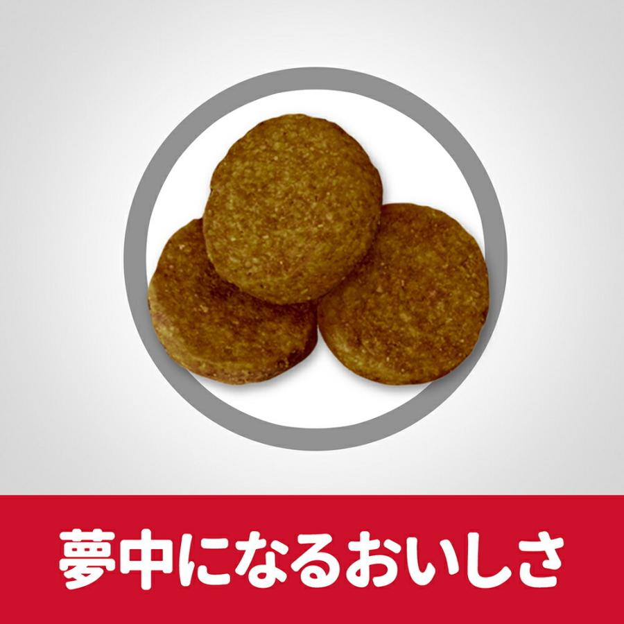 サイエンス・ダイエット 【12kg×2袋】ヒルズ 大型犬用 アダルト