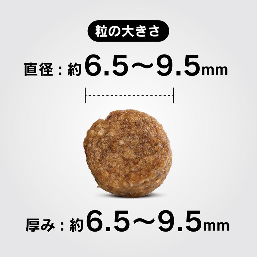 【メール便】【80g×4袋】HAPPY DOG ミニ フィット＆バイタル ミニ アダルト 小型犬 成犬用(犬・ドッグ)[正規品] | ハッピードッグ | 01