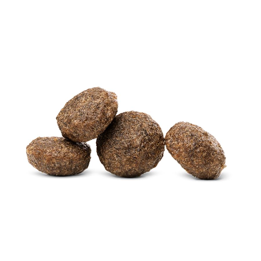 【メール便】【50g×6袋】HAPPY CAT VET リーナル 腎臓ケア 成猫〜シニア猫 療法食 (猫・キャット)[正規品] | ハッピーキャット | 01