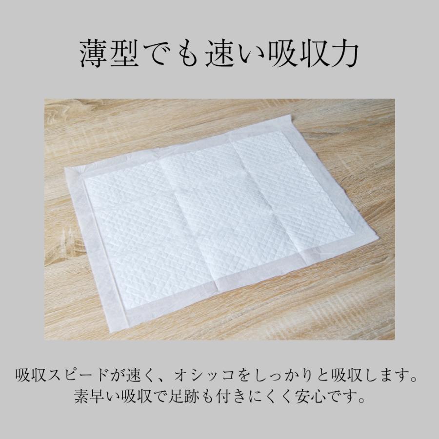 【200枚×4袋】GRAN PETS グランペッツ ペットシーツ レギュラー 薄型 800枚 (犬・ドッグ) |  | 02