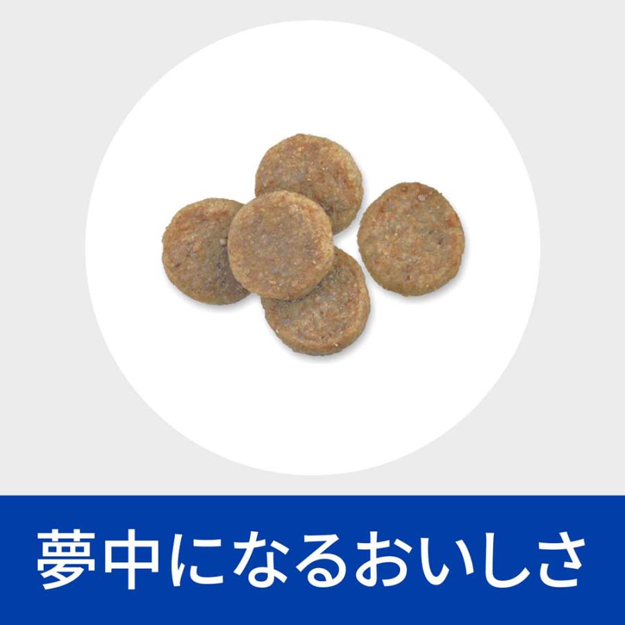 犬　ヒルズ　kd モビリティ　1kg×6袋 犬 ヒルズ kd モビリティ 1kg×6袋 ヒルズ 食事療法食 犬用 k/d
