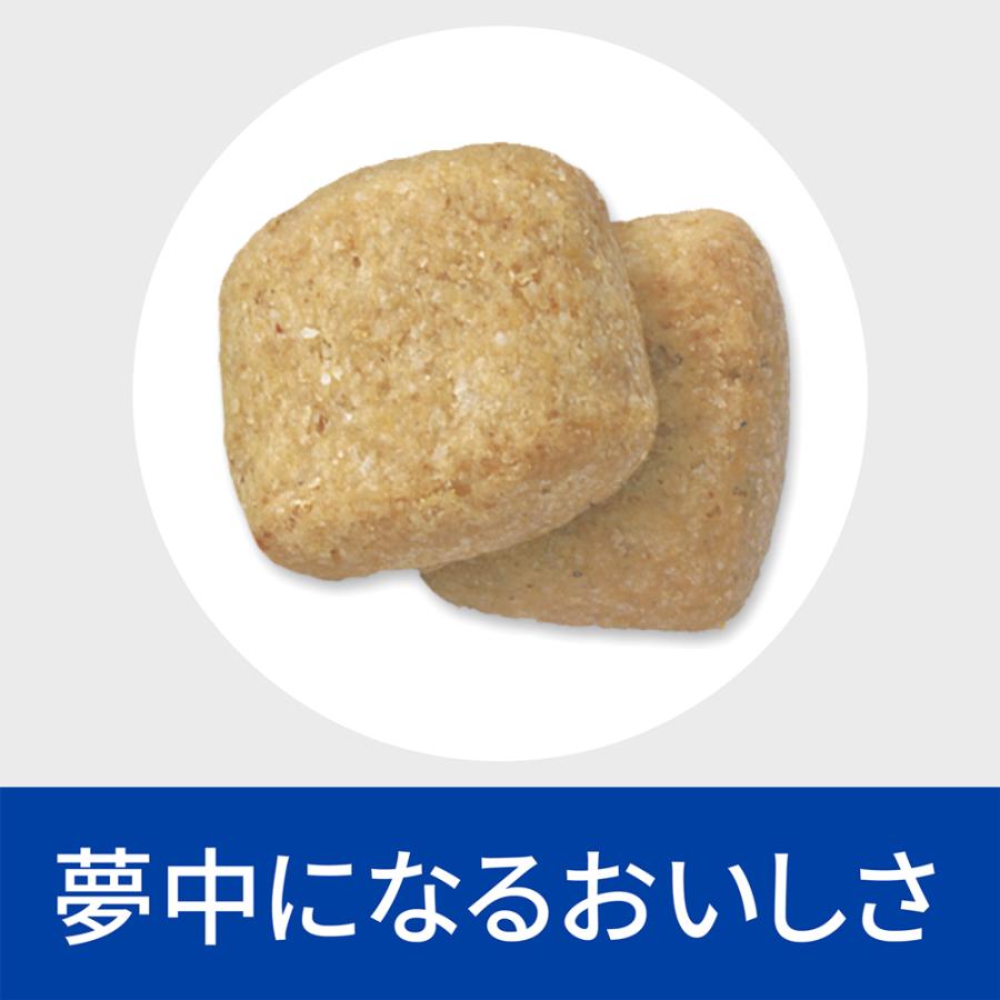 【1kg×3袋】ヒルズ t/d 歯と歯ぐきのケア 小粒 療法食 (犬・ドッグ)[正規品] | プリスクリプション・ダイエット | 05