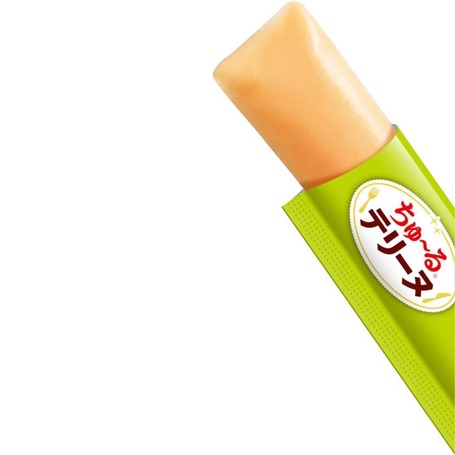 【メール便】【(15g×4本)×6袋】いなば ちゅ〜るテリーヌ ささみ&緑黄色野菜 (犬・ドッグ) | いなばペットフード | 01