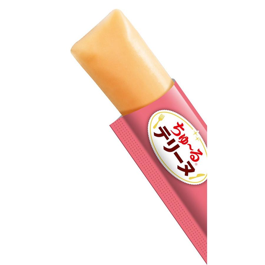【(15g×4本)×12袋】いなば ちゅ〜るテリーヌ サーモン (犬・ドッグ) | いなばペットフード | 01