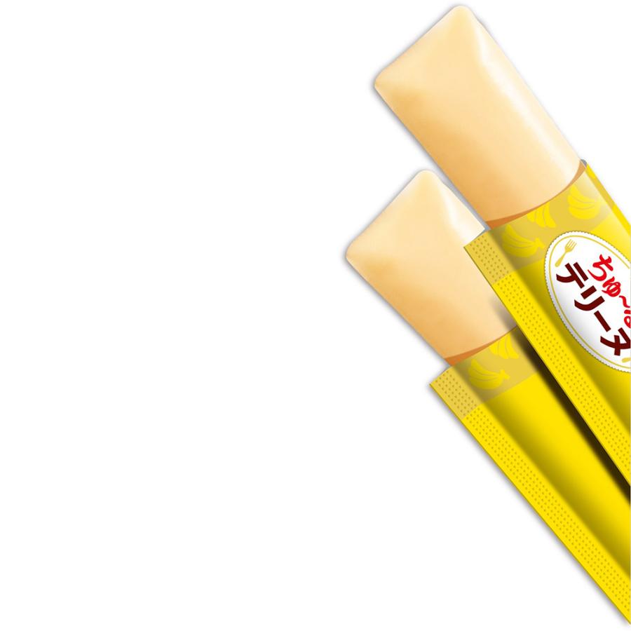 【メール便】【(15g×4本)×6袋】いなば ちゅ〜るテリーヌ バナナ&ささみ (犬・ドッグ) | いなばペットフード | 01